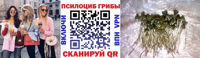 Галлюциногенные грибы MAGIC MUSHROOMS Бирюсинск